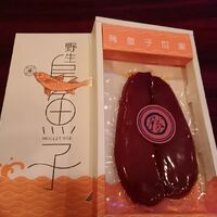 画像447